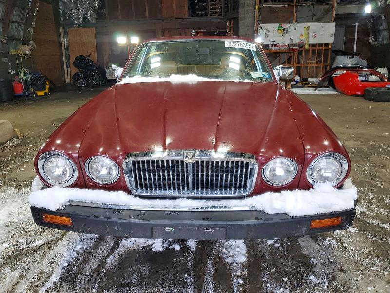 97276395 :رقم المزاد ، SAJAV134XDC356391 vin ، 1983 Jaguar Xj6 مزاد بيع