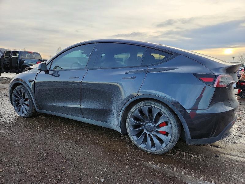 Продажа на аукционе авто 2024 Tesla Model Y, vin: 7SAYGDEF8RF041383, номер лота: 73325095