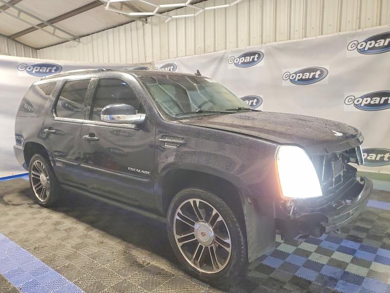 Aukcja sprzedaży 2013 Cadillac Escalade, vin: 1GYS3CEF8DR224613, numer aukcji: 73185915