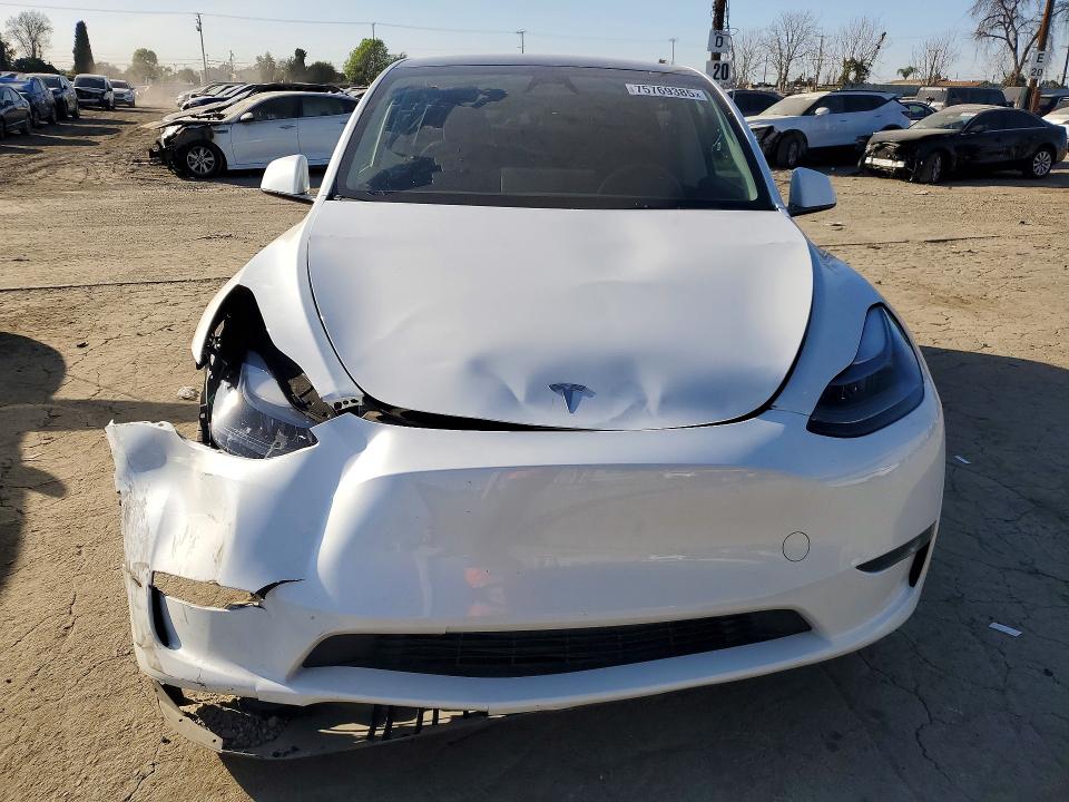Продаж на аукціоні авто 2024 Tesla Model Y, vin: 7SAYGDEE6RA228190, номер лоту: 75769385