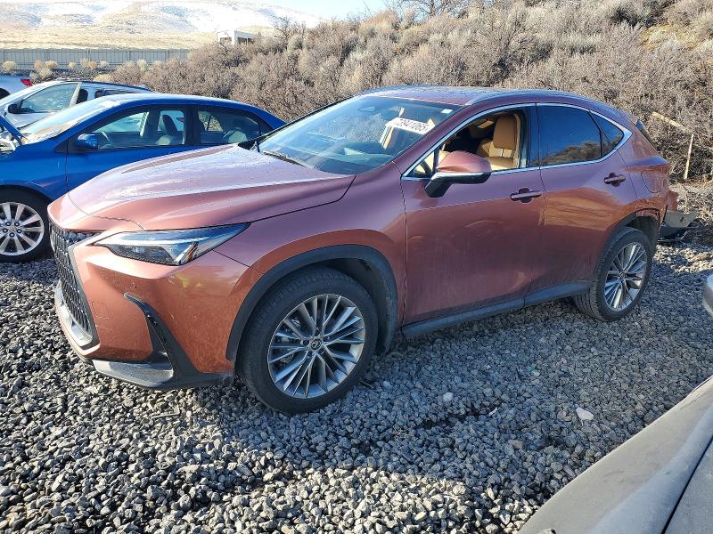 2025 Lexus Nx მანქანა იყიდება აუქციონზე, vin: 2T2GKCEZ9SC039675, აუქციონის ნომერი: 73941065