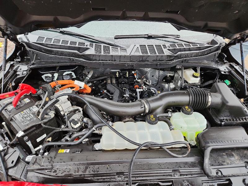 2025 Ford F150 მანქანა იყიდება აუქციონზე, vin: 1FTFW5LD3SFB31668, აუქციონის ნომერი: 99091275