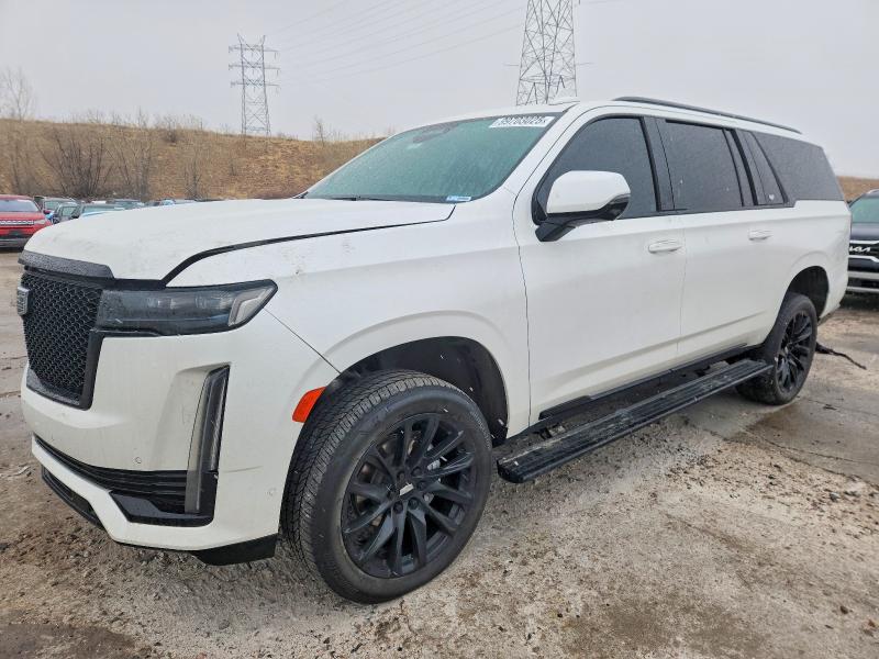 Продажа на аукционе авто 2023 Cadillac Escalade, vin: 1GYS4RKL1PR245771, номер лота: 99703025