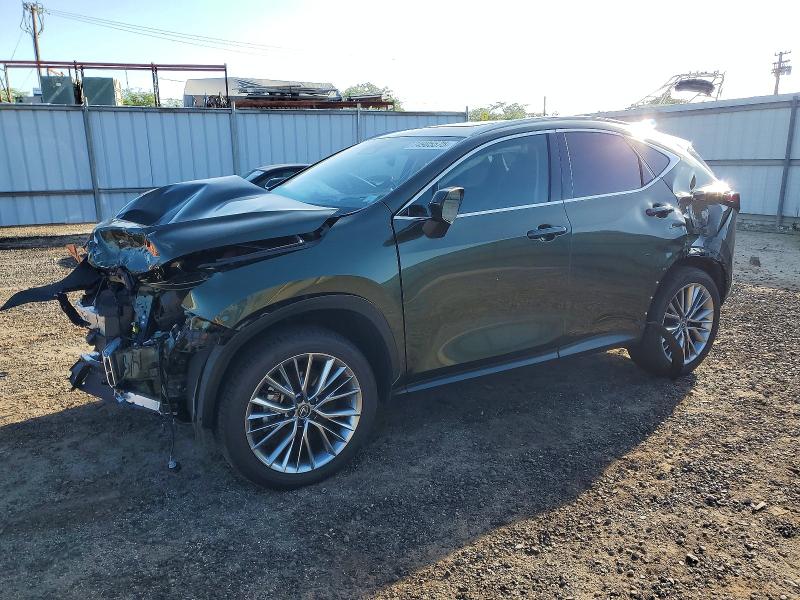 Продаж на аукціоні авто 2025 Lexus Nx, vin: JTJGKCEZ2S2048881, номер лоту: 74905575