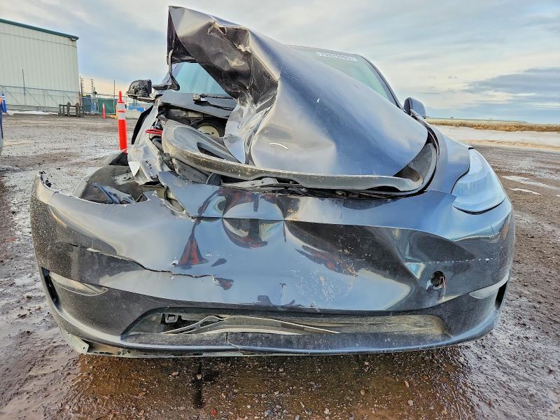Продажа на аукционе авто 2024 Tesla Model Y, vin: 7SAYGDEF8RF041383, номер лота: 73325095