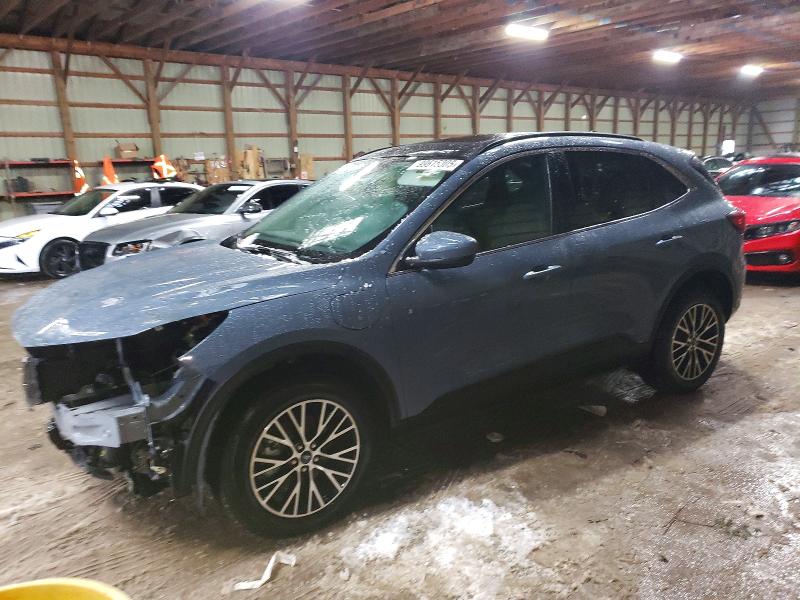 Auction sale of the 2025 Ford Escape, vin: 1FMCU0E15SUA74430, lot number: 99615305