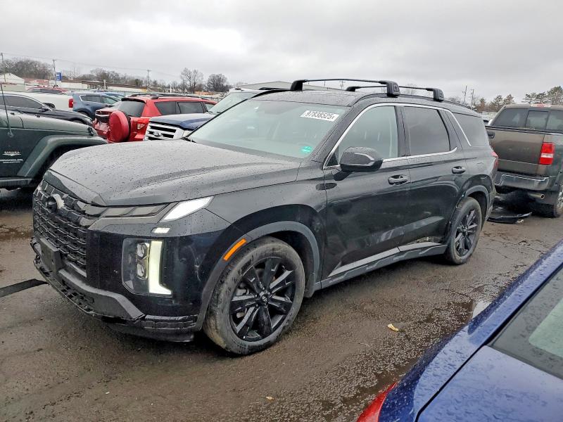 Aukcja sprzedaży 2024 Hyundai Palisade, vin: KM8R3DGE9RU741613, numer aukcji: 97838525