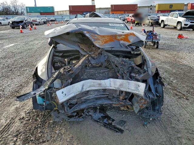 Продаж на аукціоні авто 2010 Acura Tsx, vin: JH4CU2F62AC032648, номер лоту: 99832235
