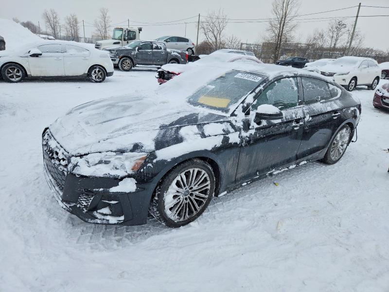 2024 Audi S5 მანქანა იყიდება აუქციონზე, vin: WAUA4CF53RA004206, აუქციონის ნომერი: 72310785