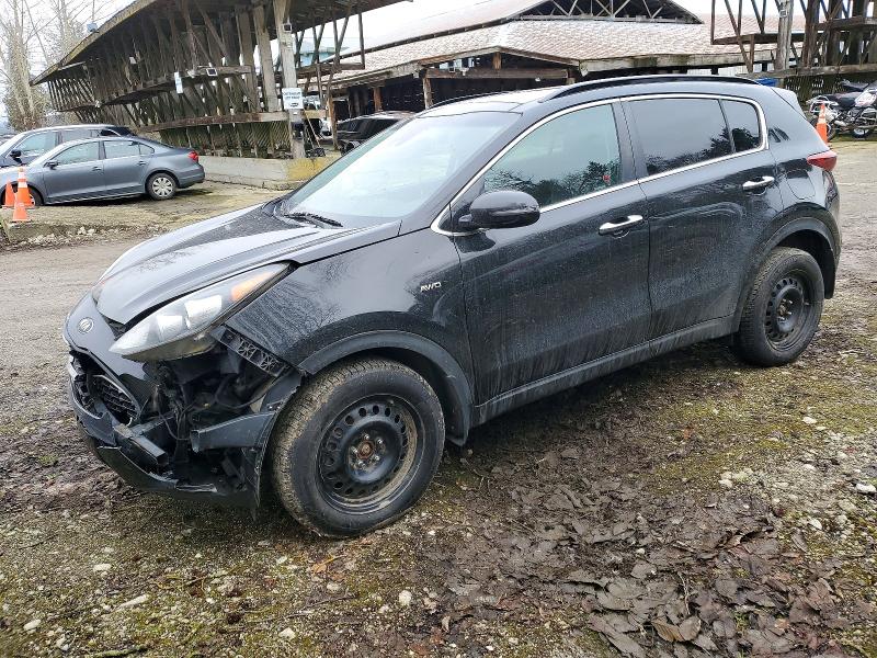 2020 Kia Sportage მანქანა იყიდება აუქციონზე, vin: KNDPNCACXL7687901, აუქციონის ნომერი: 99777255