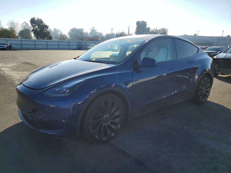 Продаж на аукціоні авто 2023 Tesla Model Y, vin: 7SAYGDEFXPF977521, номер лоту: 73232925