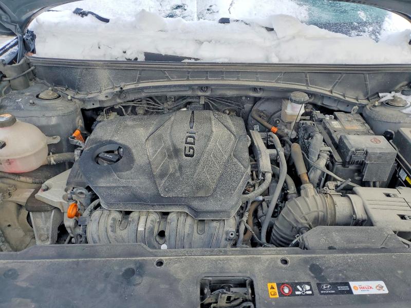 Aukcja sprzedaży 2023 Hyundai Tucson, vin: KM8JCCAE2PU183245, numer aukcji: 74567545