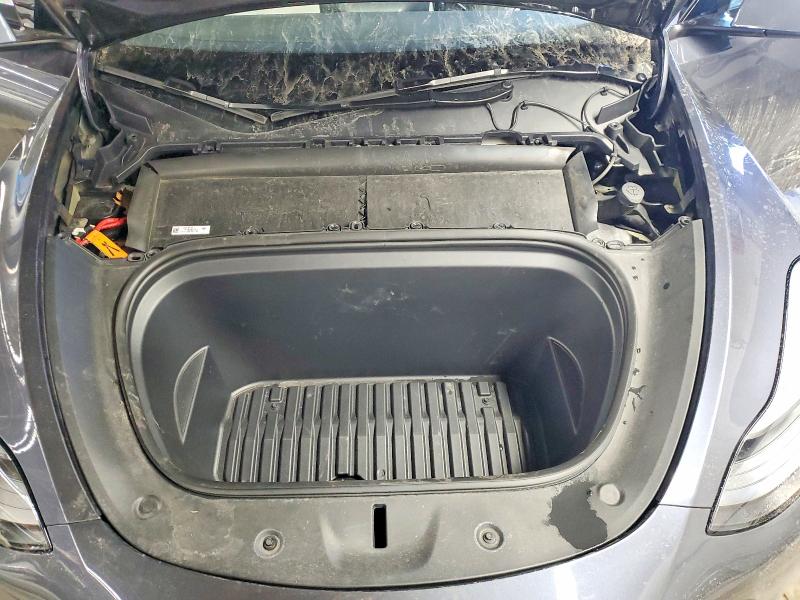 Продаж на аукціоні авто 2023 Tesla Model Y, vin: 7SAYGAEE0PF967148, номер лоту: 74256065