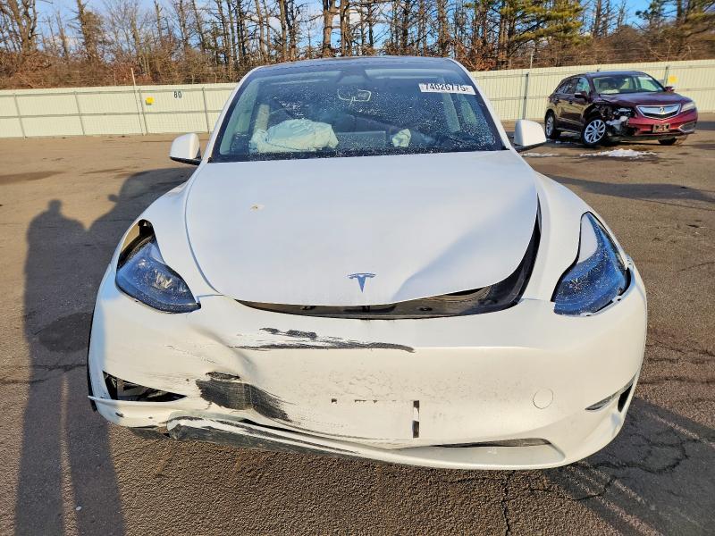 Продажа на аукционе авто 2024 Tesla Model Y, vin: 7SAYGDEE8RA250921, номер лота: 74026775