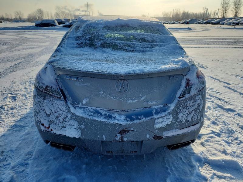 Auction sale of the 2009 Acura Tl, vin: 19UUA96549A801917, lot number: 73020345