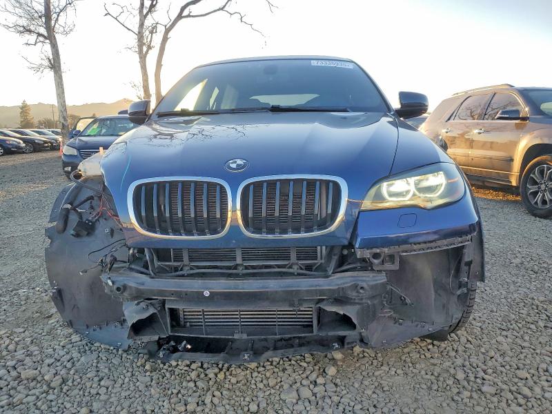 Продажа на аукционе авто 2013 Bmw X6 Xdrive3, vin: 5UXFG2C54DL786493, номер лота: 73335935