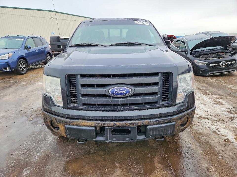 75395275 :رقم المزاد ، 1FTFW1EV9AFA38330 vin ، 2010 Ford F150 مزاد بيع