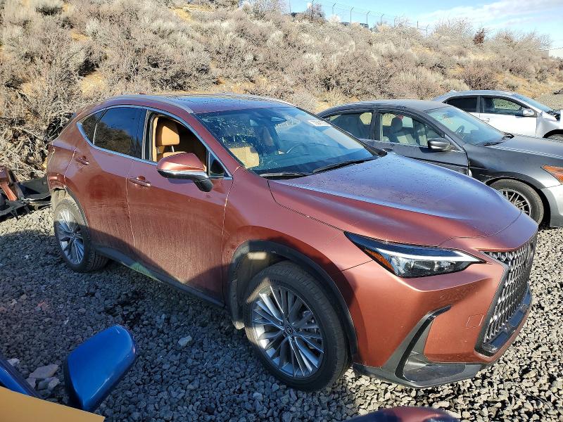 73941065 :رقم المزاد ، 2T2GKCEZ9SC039675 vin ، 2025 Lexus Nx مزاد بيع