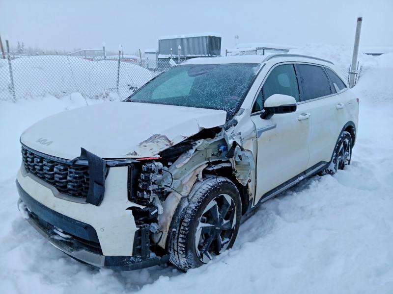 Auction sale of the 2025 Kia Sorento, vin: KNDRJDJH8S5298982, lot number: 98192005