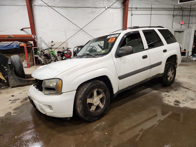 Продажа на аукционе авто 2005 Chevrolet Trailblazer, vin: 1GNDT13S052349870, номер лота: 99811845