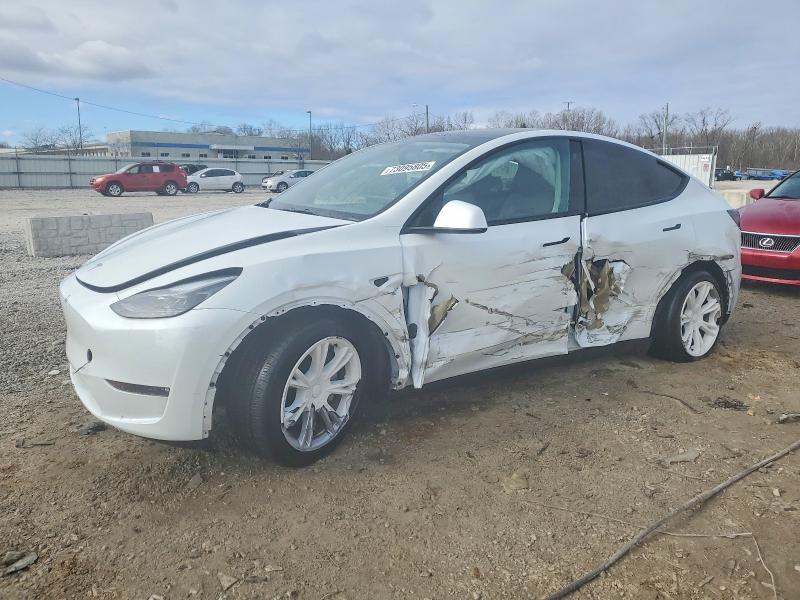 73095805 :رقم المزاد ، 7SAYGAEE3PF769731 vin ، 2023 Tesla Model Y مزاد بيع