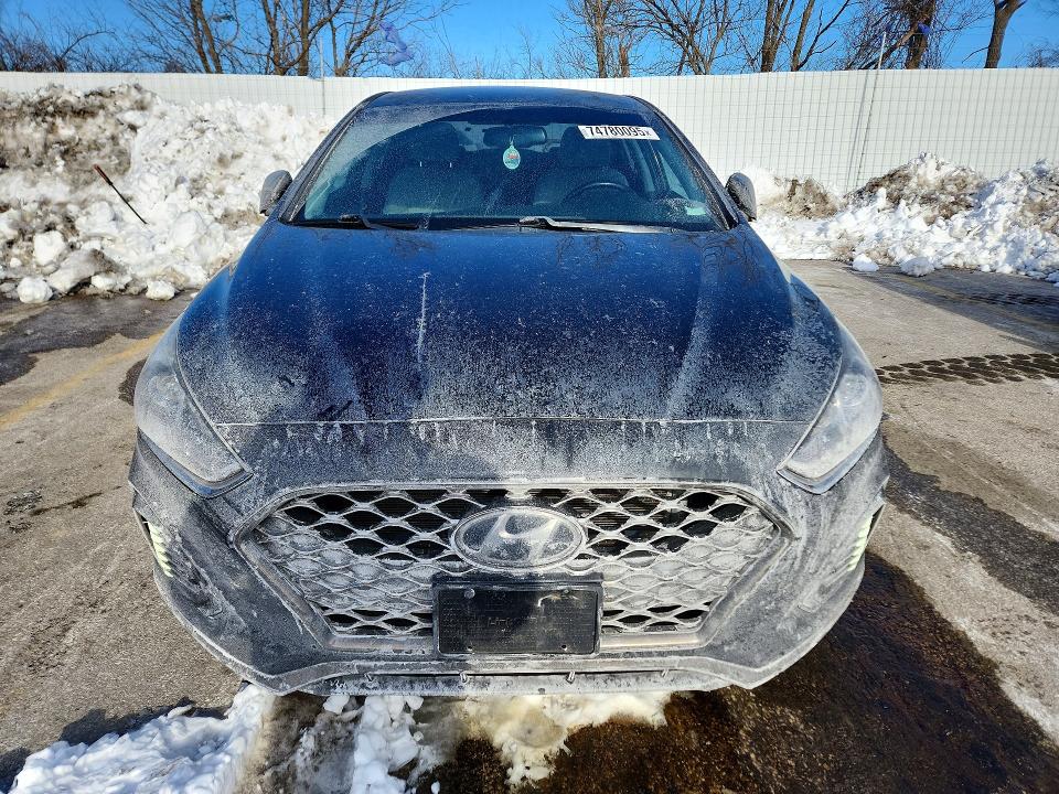 Продажа на аукционе авто 2019 Hyundai Sonata, vin: 5NPE34AF6KH807443, номер лота: 74780095