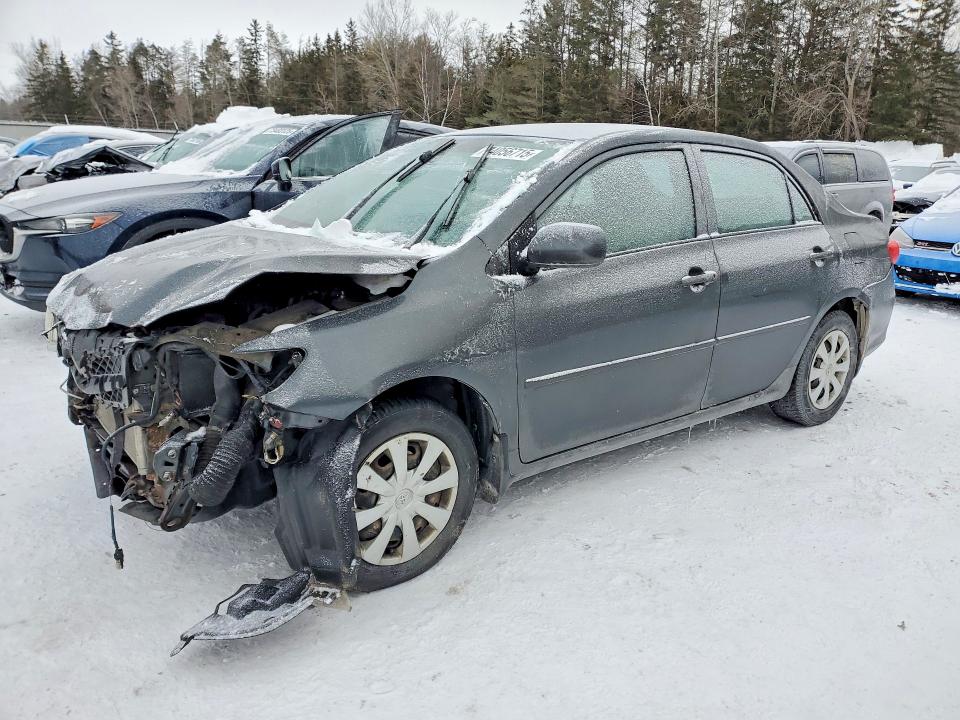 Продажа на аукционе авто 2011 Toyota Corolla Ba, vin: 2T1BU4EE1BC703592, номер лота: 74056715