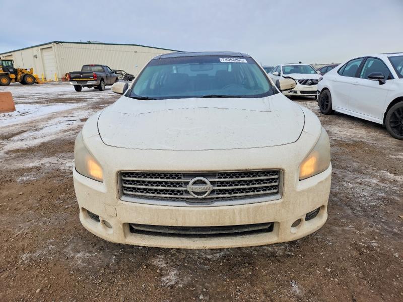 Продажа на аукционе авто 2009 Nissan Maxima 3.5 Sv 4dr, vin: 1N4AA51E09C858904, номер лота: 74993805