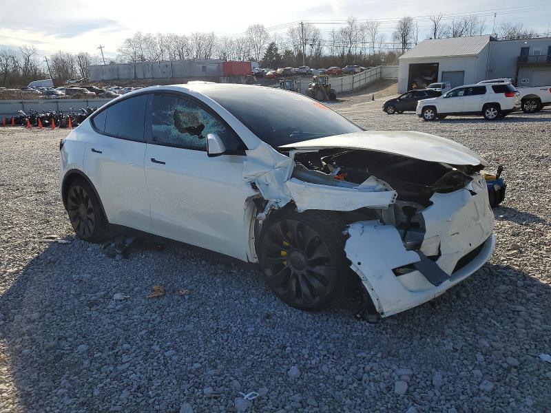 2022 Tesla Model Y მანქანა იყიდება აუქციონზე, vin: 7SAYGDEF8NF397665, აუქციონის ნომერი: 98052725