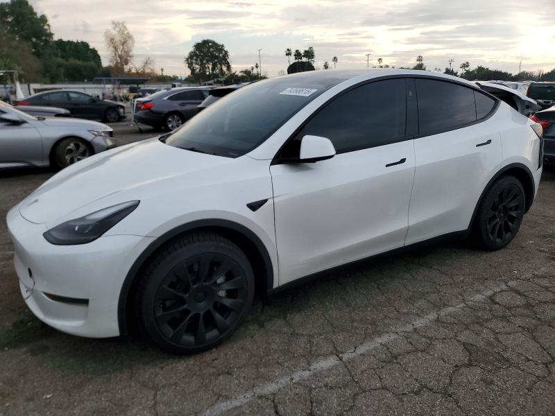 Aukcja sprzedaży 2024 Tesla Model Y, vin: 7SAYGDED8RF094681, numer aukcji: 74398615
