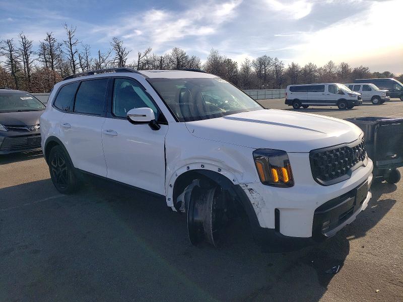 Продаж на аукціоні авто 2025 Kia Telluride, vin: 5XYP5DGC2SG618862, номер лоту: 98468575