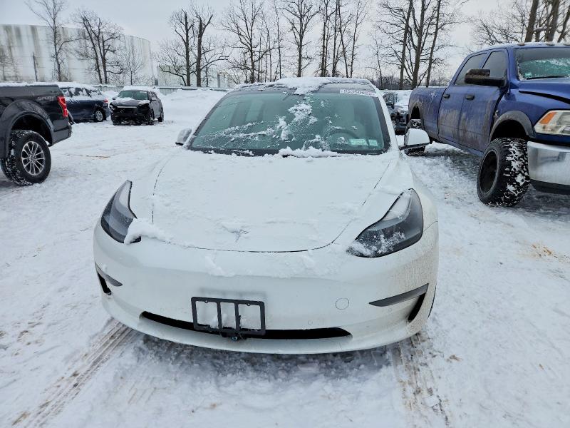 95350925 :رقم المزاد ، 5YJ3E1EB8MF919184 vin ، 2021 Tesla Model 3 مزاد بيع