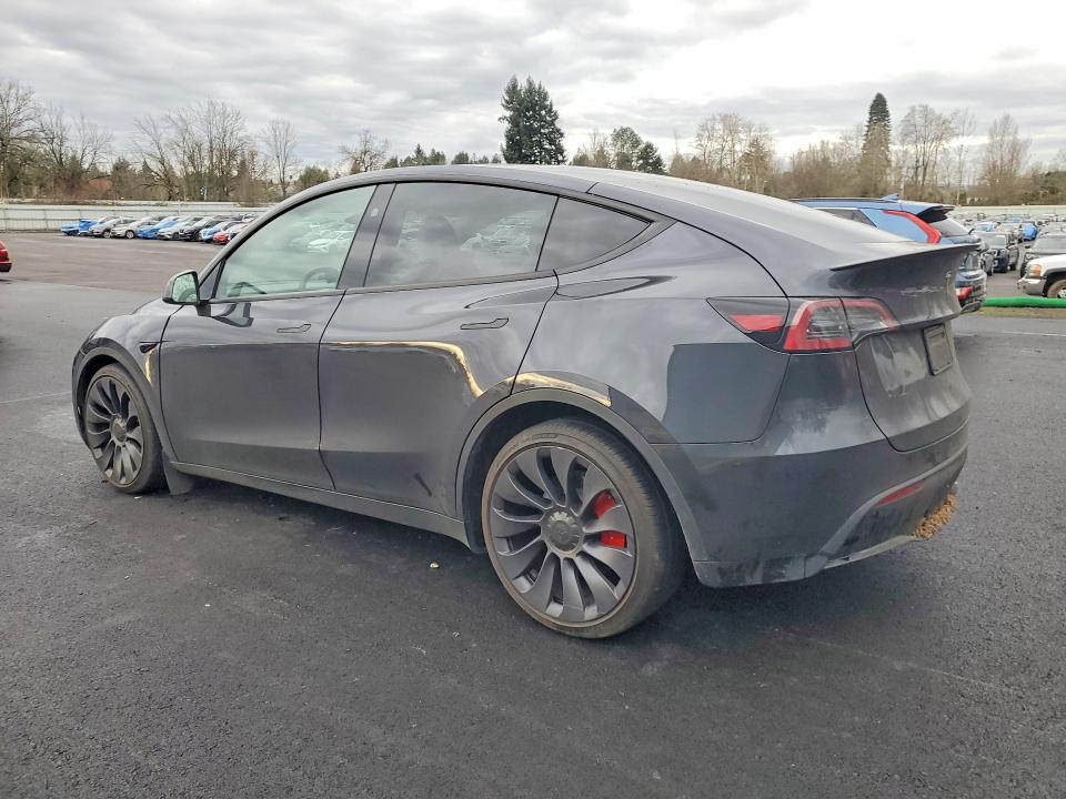 Aukcja sprzedaży 2024 Tesla Model Y, vin: 7SAYGDEF3RF155873, numer aukcji: 75404265