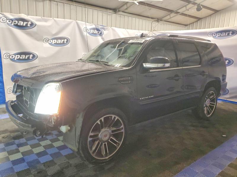 Aukcja sprzedaży 2013 Cadillac Escalade, vin: 1GYS3CEF8DR224613, numer aukcji: 73185915