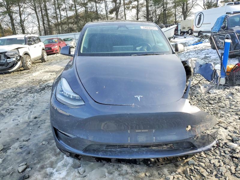 Продаж на аукціоні авто 2023 Tesla Model Y, vin: 7SAYGDEE2PA149175, номер лоту: 74056975
