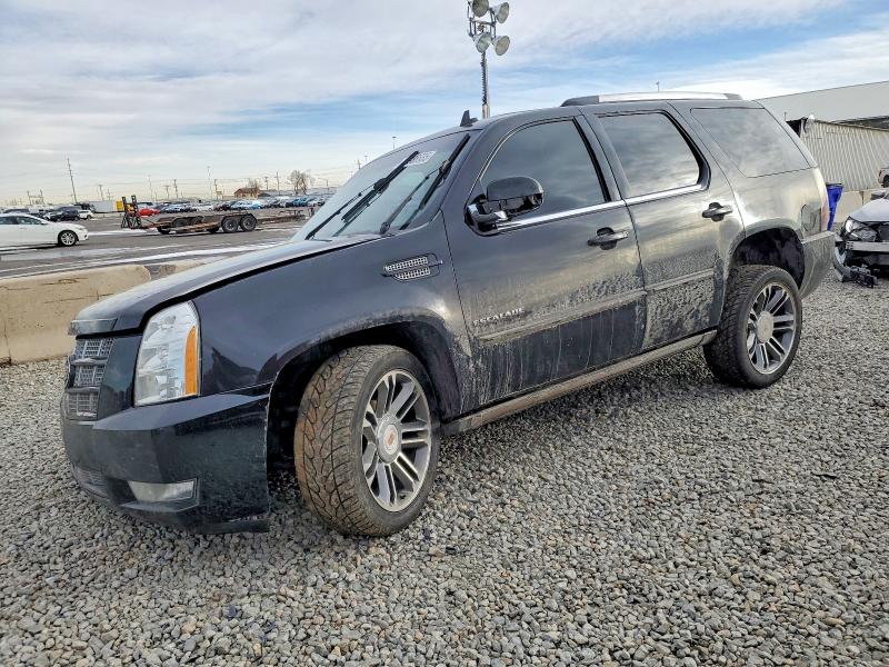 Продажа на аукционе авто 2012 Cadillac Escalade, vin: 1GYS4CEF0CR252854, номер лота: 74986635