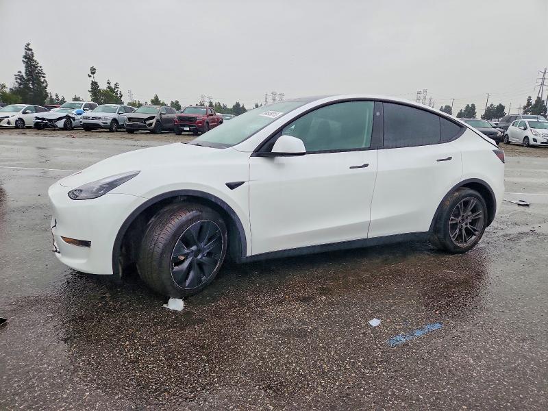 2024 Tesla Model Y მანქანა იყიდება აუქციონზე, vin: 7SAYGDEE8RF165337, აუქციონის ნომერი: 99308815
