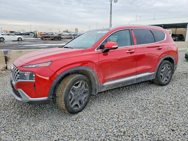 2023 Hyundai Santa Fe L მანქანა იყიდება აუქციონზე, vin: 5NMS44AL6PH545241, აუქციონის ნომერი: 74988135