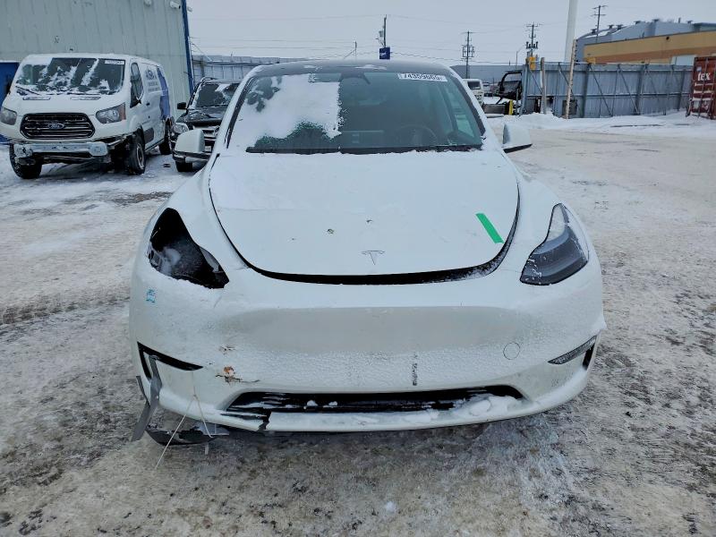 Aukcja sprzedaży 2023 Tesla Model Y, vin: LRWYGDEE0PC028669, numer aukcji: 74359665