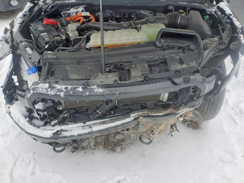 99896275 :رقم المزاد ، 1FTFW5LD6RFB50743 vin ، 2024 Ford F150 مزاد بيع