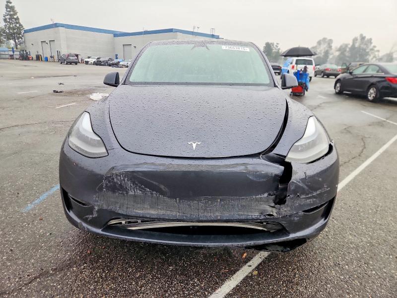 73663815 :رقم المزاد ، 7SAYGDEE2PF908149 vin ، 2023 Tesla Model Y مزاد بيع