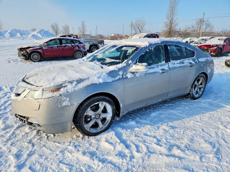 Auction sale of the 2009 Acura Tl, vin: 19UUA96549A801917, lot number: 73020345