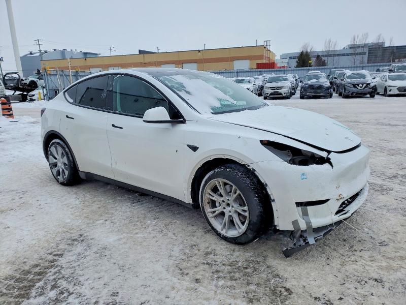 Aukcja sprzedaży 2023 Tesla Model Y, vin: LRWYGDEE0PC028669, numer aukcji: 74359665