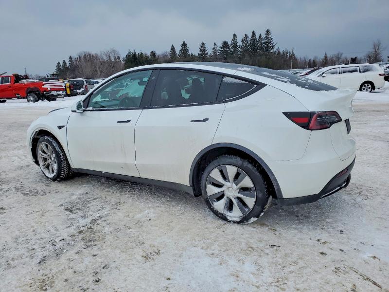 Aukcja sprzedaży 2023 Tesla Model Y, vin: LRWYGDEE0PC028669, numer aukcji: 74359665