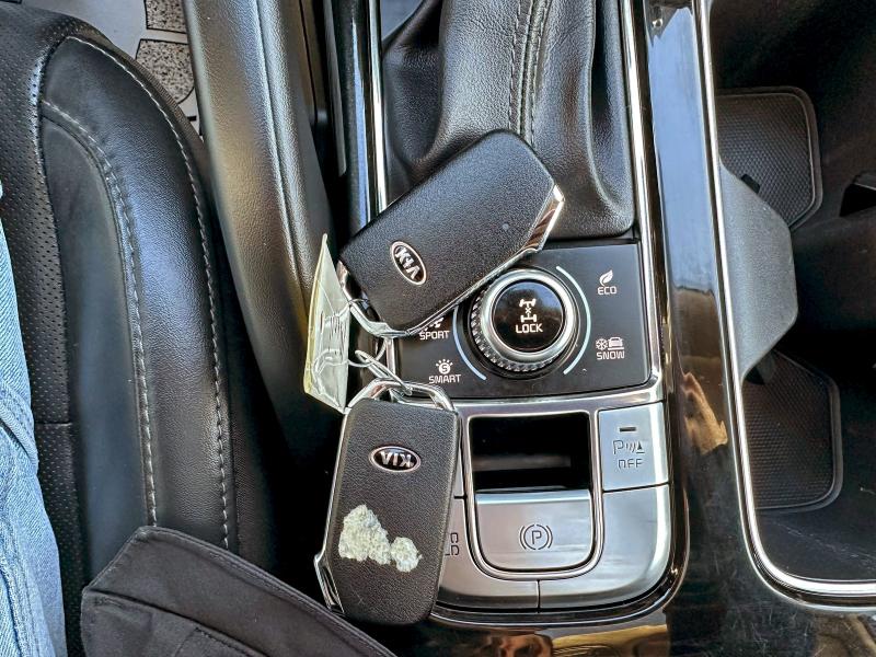 Aukcja sprzedaży 2020 Kia Telluride, vin: 5XYP6DHCXLG026848, numer aukcji: 73502675
