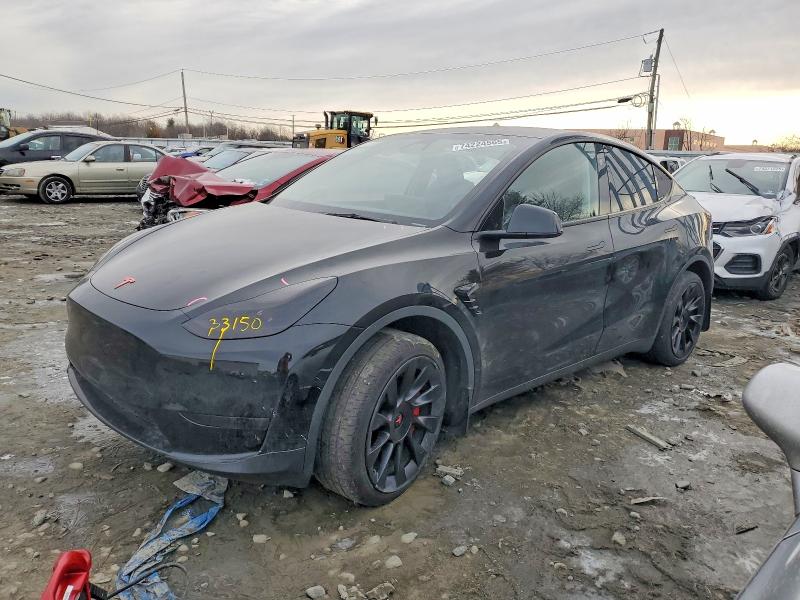 Aukcja sprzedaży 2023 Tesla Model Y, vin: 7SAYGDEE9PA186143, numer aukcji: 74224565