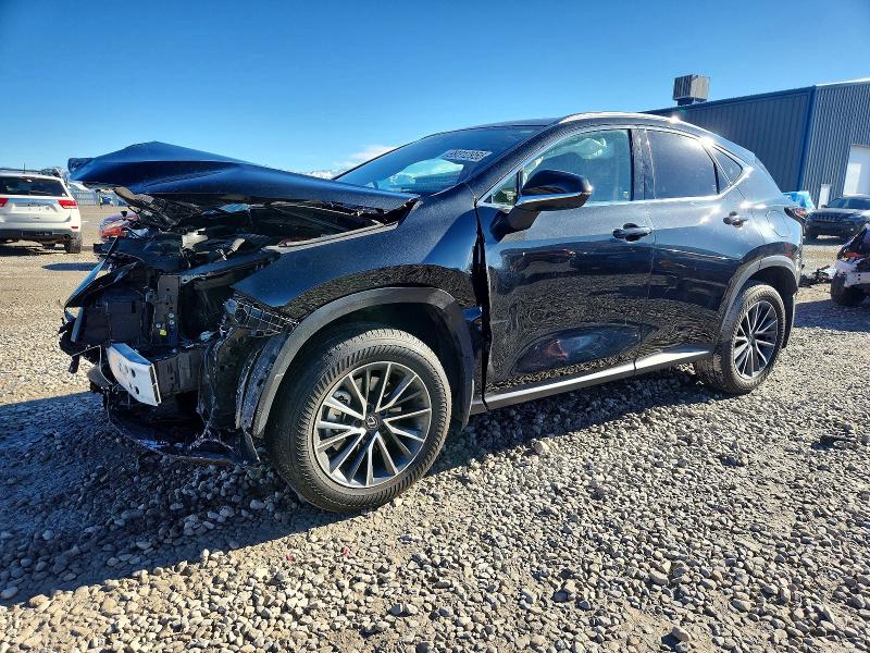 Продажа на аукционе авто 2025 Lexus Nx, vin: JTJGKCEZ8S2044303, номер лота: 99312955
