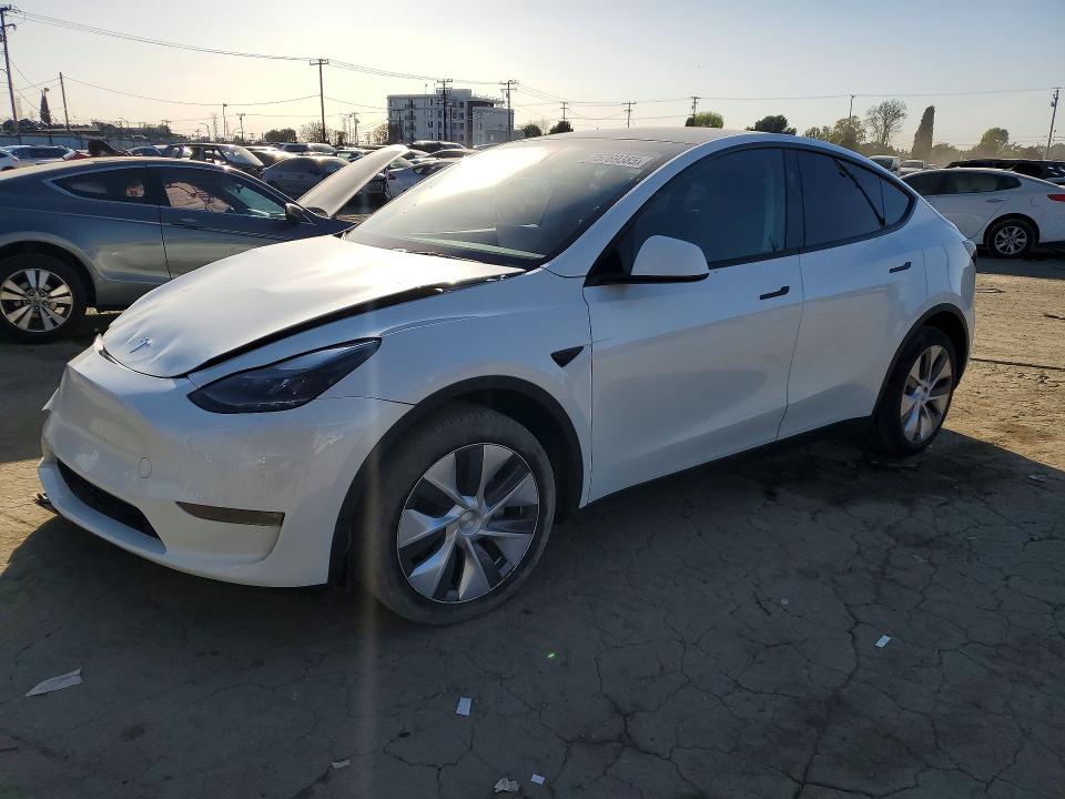 Продаж на аукціоні авто 2024 Tesla Model Y, vin: 7SAYGDEE6RA228190, номер лоту: 75769385