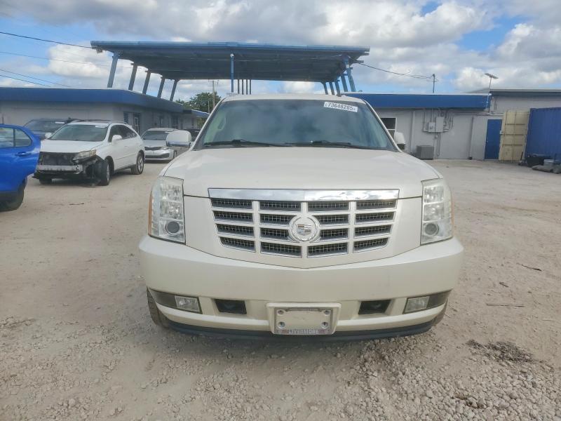 Продажа на аукционе авто 2009 Cadillac Escalade, vin: 1GYFC43519R131876, номер лота: 73648285