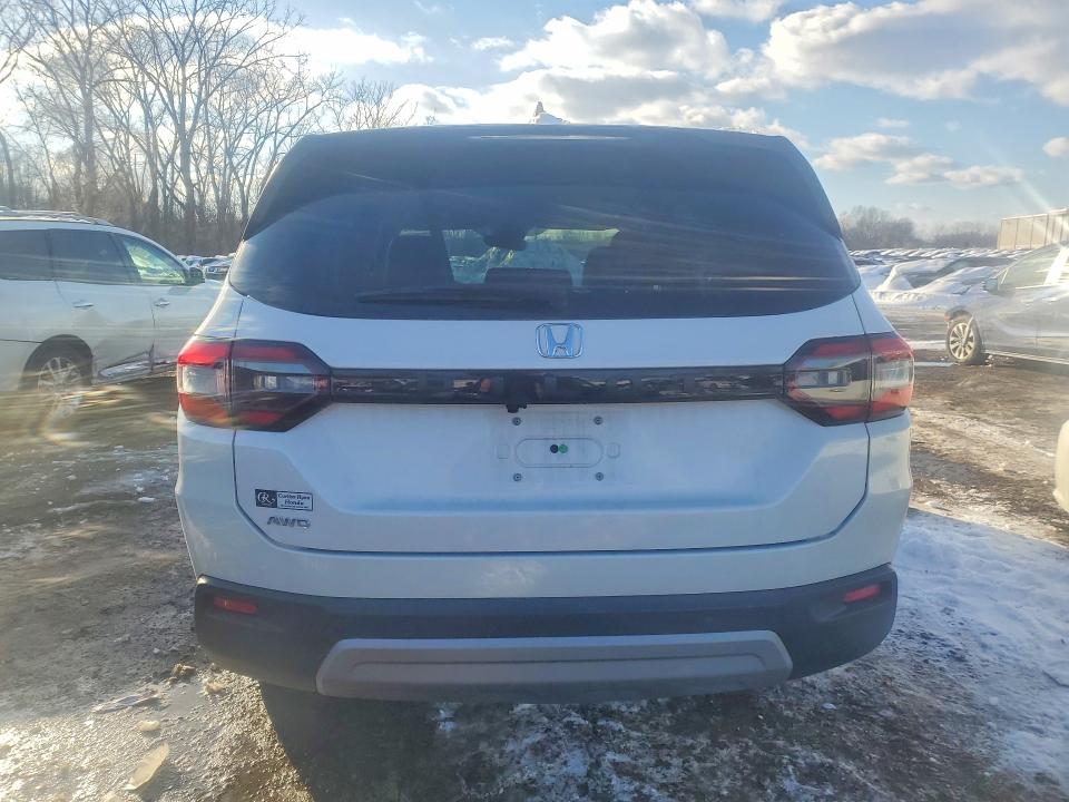 Продаж на аукціоні авто 2024 Honda Pilot, vin: 5FNYG1H42RB016811, номер лоту: 75449565